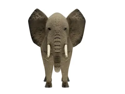 Elephant 3D Model Rigged and Animated Low-poly 3D model
