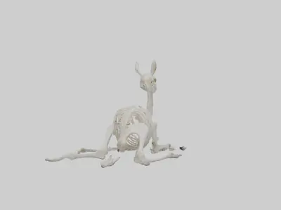 Lying Skeleton Alpaca 1 Low-poly 3D model