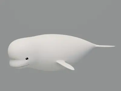 Rigged Cartoon Beluga Whale 3D model