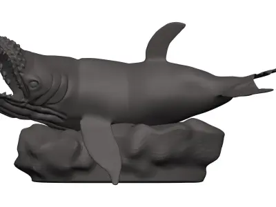 Humback Whale  3D model