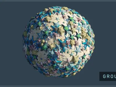 Starfish Variety Pack 2 Low-poly 3D model