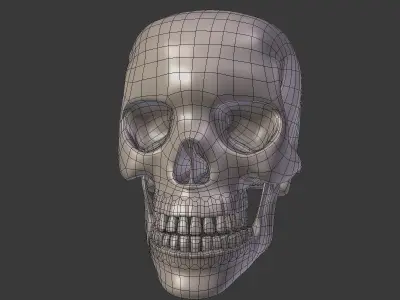 Skull Low-poly 3D model