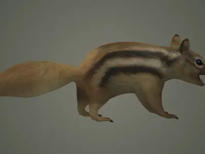 squirrel cute animal mammal wildlife little hamster marmot 3D model