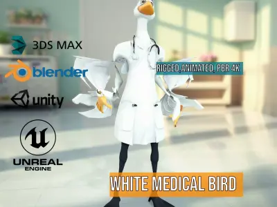 White Medical Bird Doctor model pack Low-poly 3D model