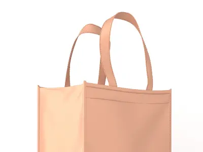 Eco Bag 3D model