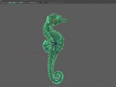 Seahorse in software 3D model