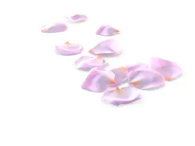 Realistic Rose Petals 3D Model - Ultra-High Quality 4K PBR Asset 3D model