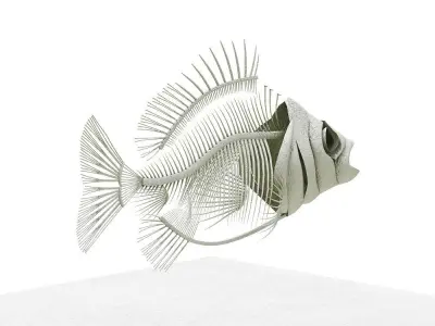 fish bone Low-poly 3D model