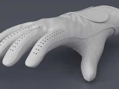 Golf Glove 3D model