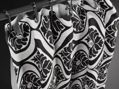 Shower Curtain Free 3D model