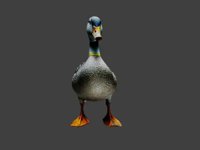 Duck Animal Low-poly 3D model