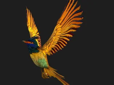 PheasantBird A2 3D model