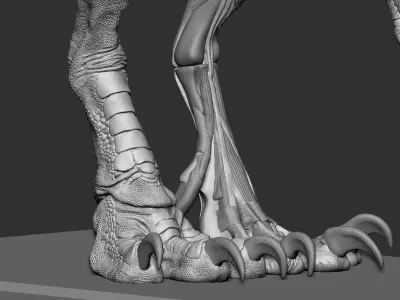 The ecorche of the Pyrosuvious 3D model