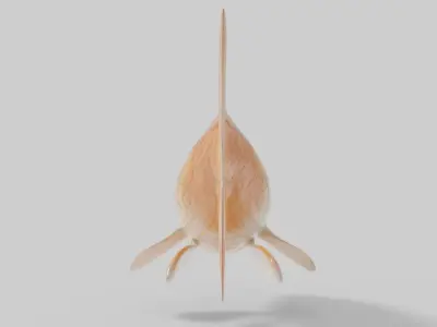 Gold Fish 3D Model Low-poly 3D model