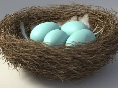 Birds Nest 3D model