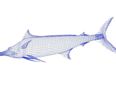 Marlin Fish Low-poly 3D model