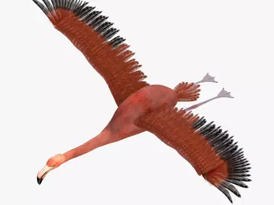 Flamingo bird rigged 3d model Low-poly 3D model