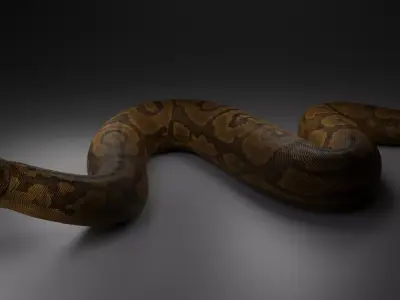 Titanoboa  Low-poly 3D model