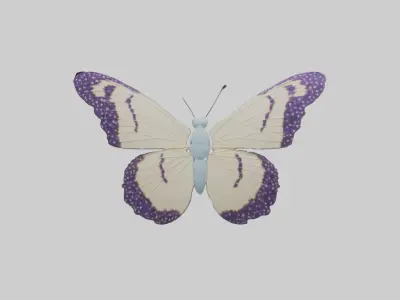 Butterfly Model 1 Low-poly 3D model