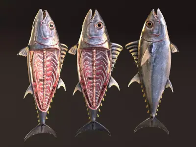 Butchered Bluefin Tuna Fish set and lods Low-poly 3D model