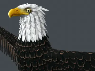 Bald Eagle Low-poly 3D model