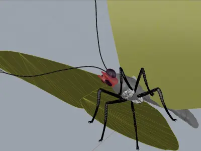 Butterfly orange insect Papillon 3D model