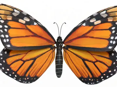 Flying Monarch Butterfly 3D model