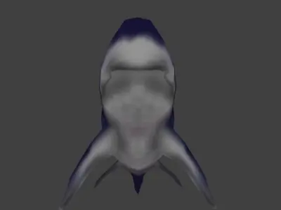 Hand Painted Low poly Cartoon Shark 3D model