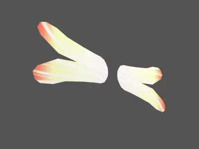 Low Poly Wings v2 001 Free low-poly 3D model