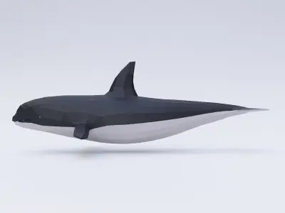 Killer Whale fish low poly 3d model  Low-poly 3D model