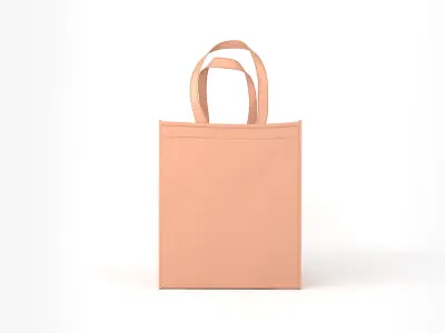 Eco Bag 3D model