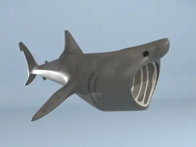 Stylized Basking Shark Low-poly 3D model