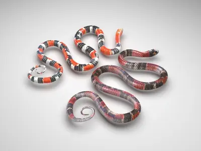 Snakes 3D model