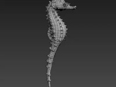 Seahorse Hippocampus Kuda Low-poly 3D model