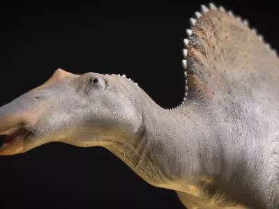 Oranosaurus  Low-poly 3D model