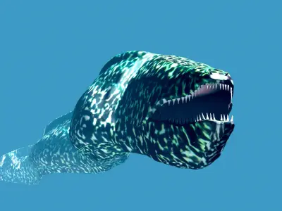 Moray fish swimming in ocean Low-poly 3D model