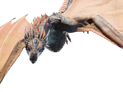 Dragon Animated 3D model purchase