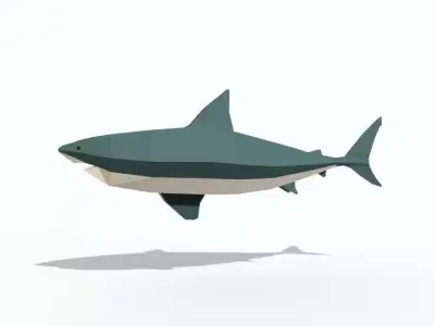 Low Poly Shark Free 3D model