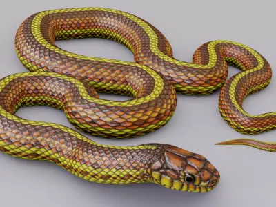 Animated Yellow Snake Free 3D model