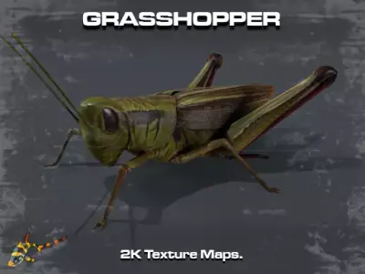 Grasshopper Low-poly 3D model