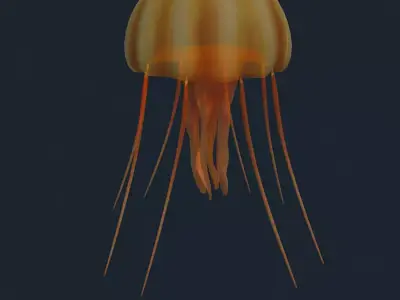 3DRT - Sealife - Jelly FIsh Low-poly 3D model