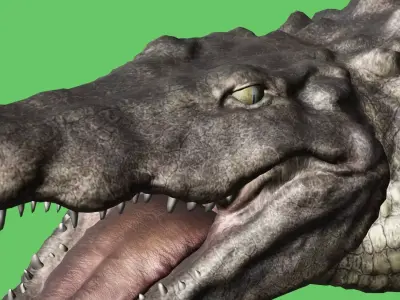 3D Model crocodile alligator Low-poly 3D model Low-poly 3D model