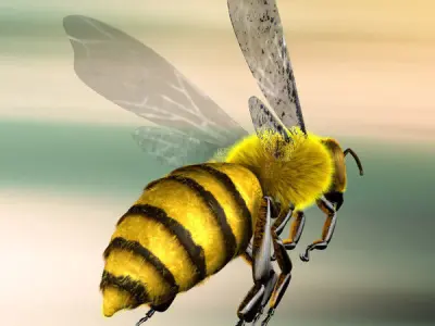 A lovely Bee 3D model