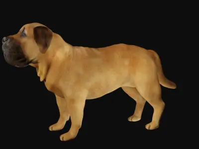 Mastiff dog Low-poly 3D model