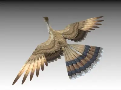 Houbara bustard 3D model