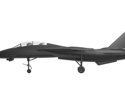 F14 tomcat Low-poly 3D model