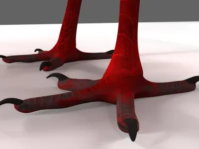 Scarlet-ibis Rigged 3D model