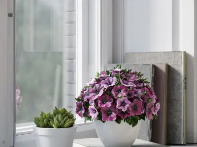  Petunia Plant Model 