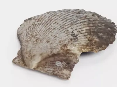 -Shell Dark- 3D model