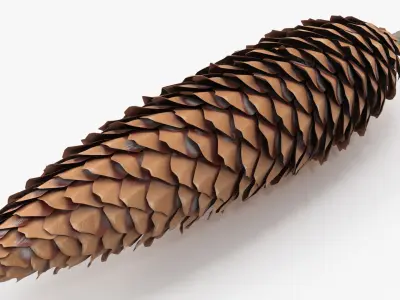 Opened Pine Seed Cone 3D model